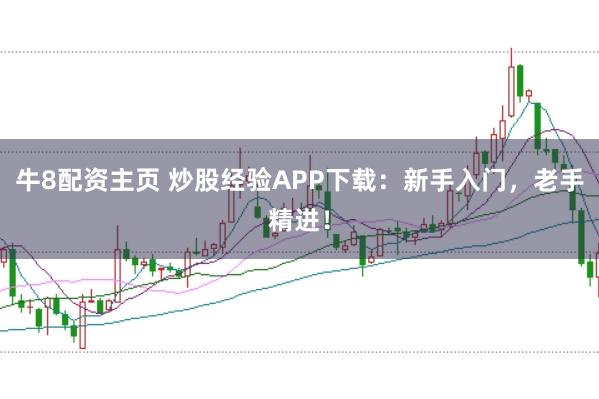 牛8配资主页 炒股经验APP下载：新手入门，老手精进！